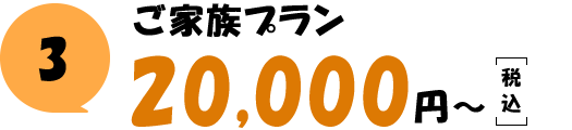 ご家族プラン 29,000円（税込）～