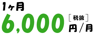 1ヶ月6,000円（税抜）/月