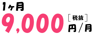 1ヶ月9,000円（税抜）/月