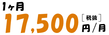 1ヶ月17,500円（税抜）/月